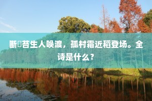 赏罢花灯步月归，自将拄杖扣柴扉。下一句是什么？