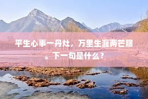 纵是了然云外客，每瞻瓶几泪还流。全诗是什么？