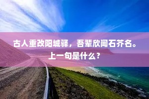 老龙惜雨慵离蛰，迷鹭逢人惯不飞。全诗是什么？