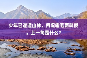 独善吾身成语的释义