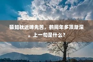 独是独非成语的释义