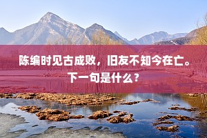 鹦鹉洲头夜泊船，此时形影共凄然。上一句是什么？