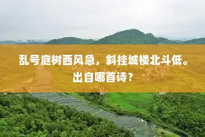 转态凝情五云里，娇颜千岁芙蓉花。全诗是什么？