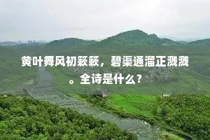 上元夫人宾上清，深宫寂历厌层城。下一句是什么？