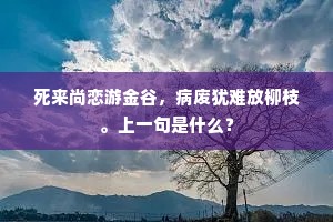 明珠为日红亭亭，水银为河玉为星。的解释