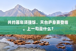 心期南溟万里外，出山几遇光阴改。的释义