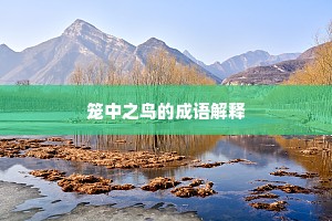 竹间深路马惊嘶，独入蓬门半似迷。全诗是什么？