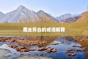 五更三老侍白日，八十一女居深宫。下一句是什么？