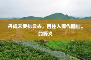 或在醉中逢夜雪，怀贤应向剡川游。的解释