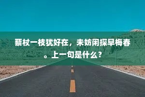 不向人间恋春色，桃花自满紫阳宫。下一句是什么？