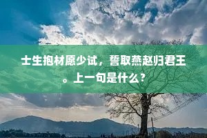 昨日琵琶弦索上，分明满甲染猩红。的意思及出处