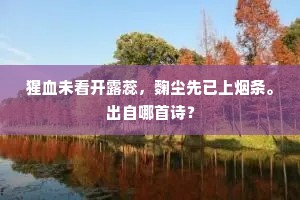 太宗飞白入于神，玉堂四字标奇势。下一句是什么？