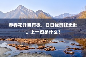 老夫幸有千机锦，尚欠江头一浣新。上一句是什么？