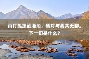 绿窗寂寞背灯时，暗数寒更不成寝。全诗是什么？