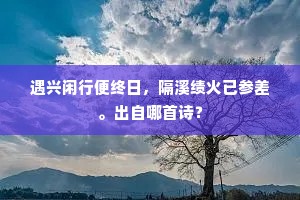 各抒己见成语的拼音