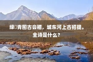 二年不到宋家东，阿母深居僻巷中。的意思及出处