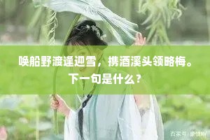 孤云虽是无心物，借便吹教到帝乡。出自哪首诗？