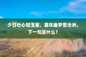 洛阳宫中花柳春，洛阳道上无行人。的释义